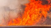 'Incredibly rare' firenado forms amid out-of-control B.C. fire