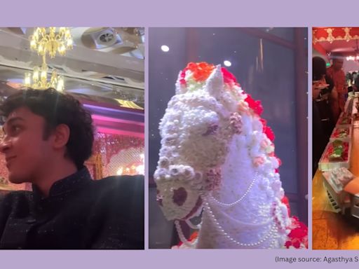 Desserts spread across 200 metre, long queues; influencer shares unseen footage from Anant Ambani-Radhika Merchant’s reception