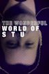 The Wonderful World of Stu