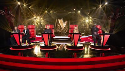 How much are the judges on The Voice UK worth as the ITV show returns?