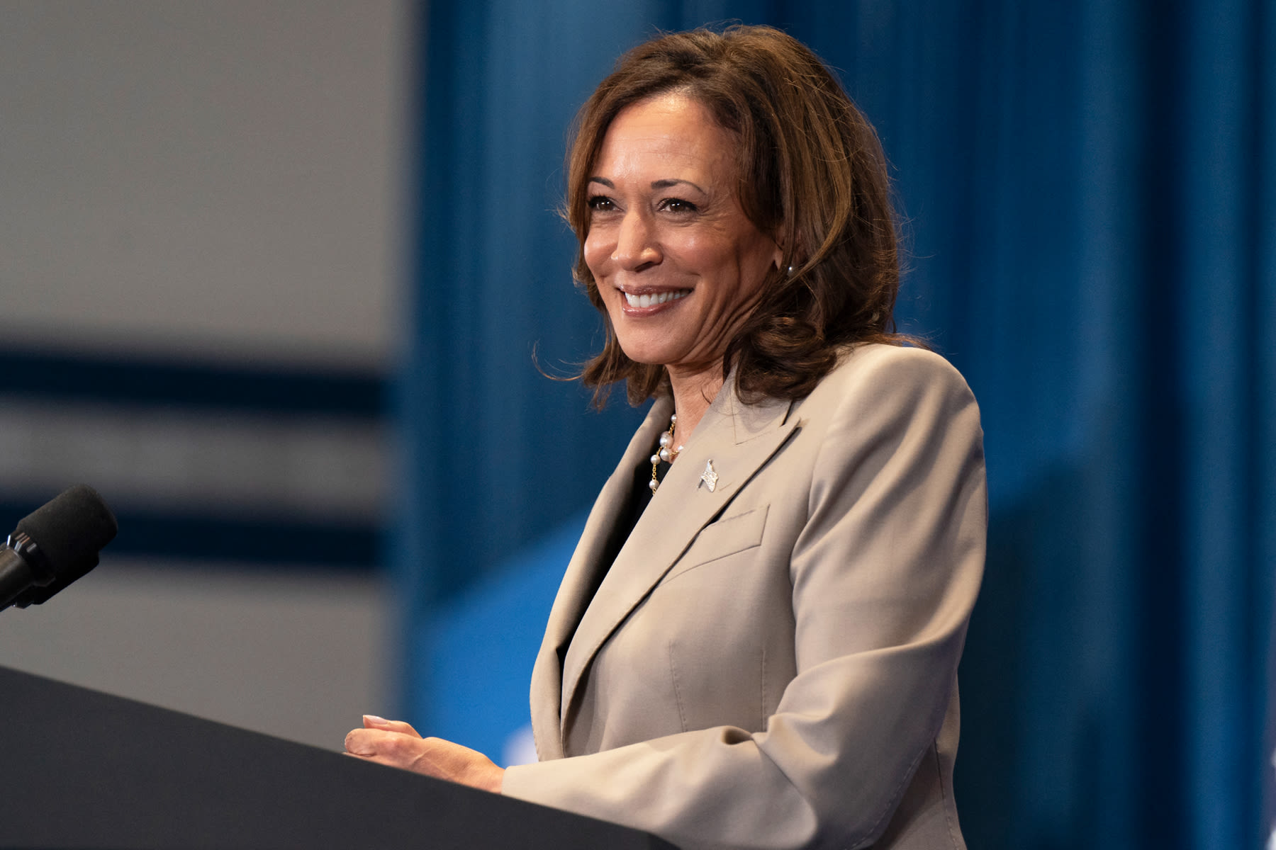 Kamala Harris Holds Emergency Call With Dem Donors