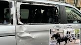 Taxi driver describes moment military horse smashed into side of his Mercedes van with passenger inside