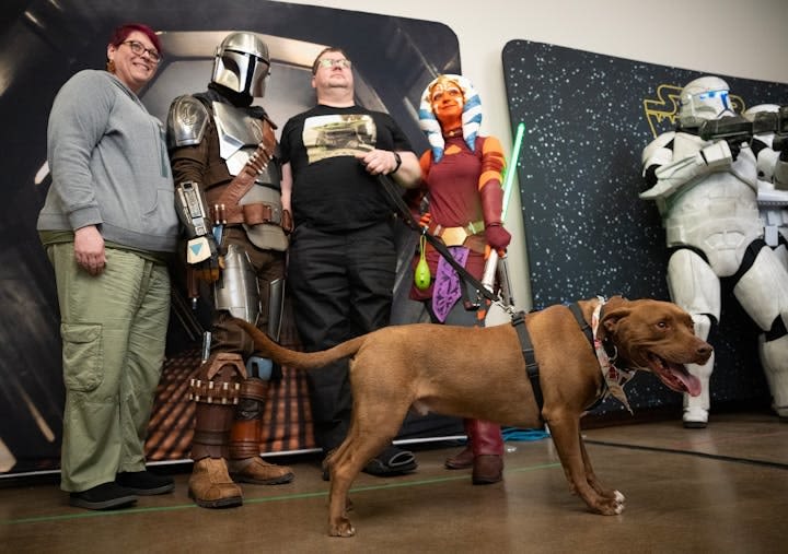 Star Wars superfans celebrate May 4th with ritual movie marathons, blue milk, costumes and community