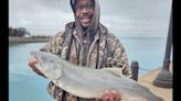 Ladder and luck contribute to Navy Pier lake trout catch
