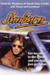 Sunburn (1979 film)
