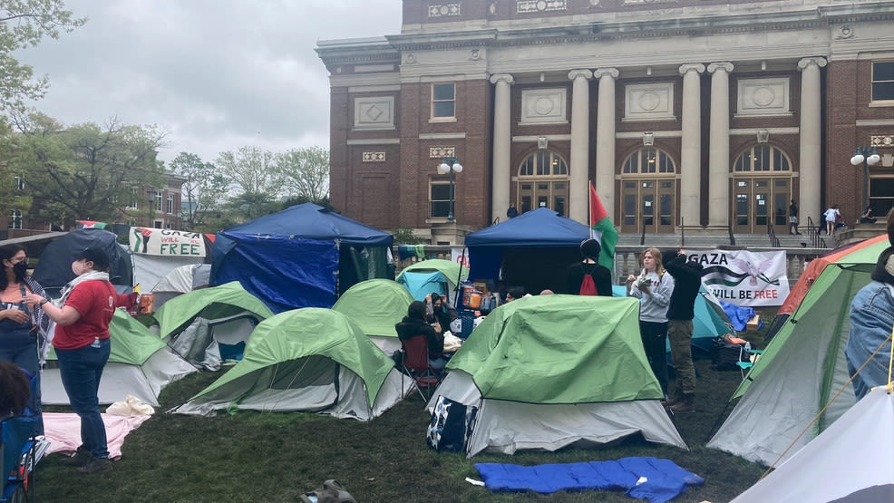 Community reacts to University of Illinois pro-Palestinian protests