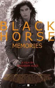 Black Horse Memories