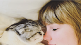 Taylor Swift's cats: What she's said about Meredith Grey, Olivia Benson and Benjamin Button