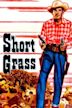 Short Grass