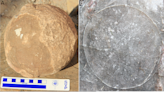 Nearly 100 Titanosaur Nests, Complete With Fossilized Eggs, Found in India
