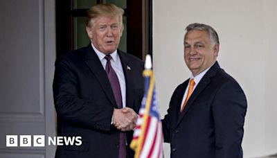 Hungary's Viktor Orbán to meet Donald Trump at Mar-a-Lago