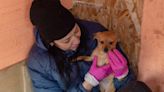 'I'll never leave them': The woman single-handedly looking after a hundred dogs in a warzone