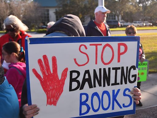 'Freedom to Learn' rally against book bans and restrictions on Black history.