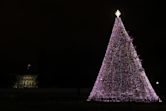 National Christmas Tree (United States)