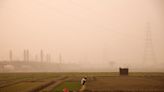 India’s deadly smog problem is bringing misery to New Delhi residents