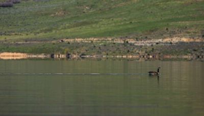 Summer is here. How full is every major Utah reservoir to start the season?