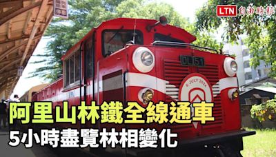 阿里山林鐵全線通車 5小時盡覽海拔30公尺到2216公尺林相變化 - 自由電子報影音頻道