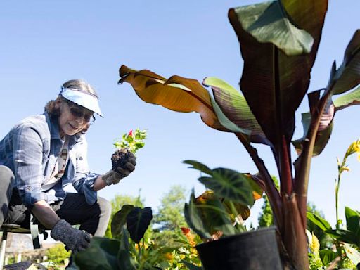 City Hall: Lincoln's Sunken Gardens set for spring; 'won't miss a beat' without longtime employees