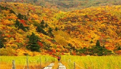 開始準備去岩手賞楓／日本最美的秋天紅葉地毯 in栗駒山須川岳 | 蕃新聞