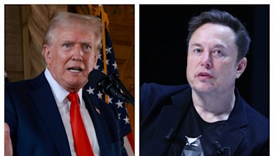 Donald Trump reveals why he sounded 'strange' during Elon Musk interview