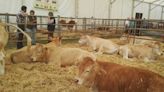 La Cámara de Comercio de Huesca ratifica la importancia del sector agro-ganadero