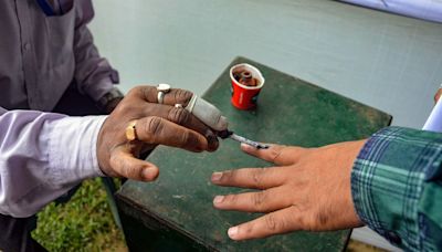 EC Bans Exit Polls For Haryana Assembly Election Until October 5: Campaign Concludes Today