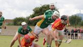 HWH-Bunclody have the upper hand against Horeswood in Intermediate hurling clash