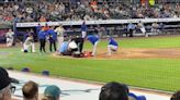 Syracuse Mets game called off after Buffalo Bisons' catcher gets hit with a bat