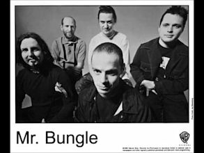 Mr. Bungle