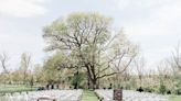 Bucks County's old "wedding tree" is no more. Why it had to go in Buckingham