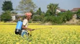 Centre may raise cash support for farmers to Rs 8,000 under PM Kisan Samman Nidhi scheme