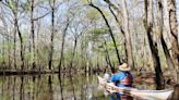 Explore one of the Lowcountry’s most scenic areas with a kayak trip on Bates Old River