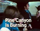 Pine Canyon Is Burning