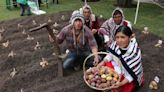 Día de la Papa: ¿Por qué es el cultivo más notable de Perú y qué tipos tienen más demanda?