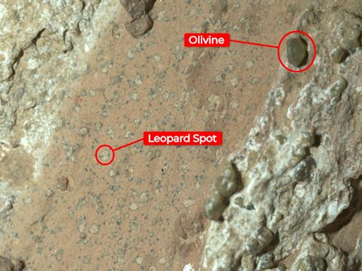 NASA Says Its Rover Has Discovered a "Potential Biosignature" on Mars