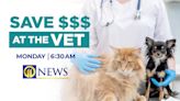 MONDAY AM: Saving on vet visits amid rising costs due to inflation