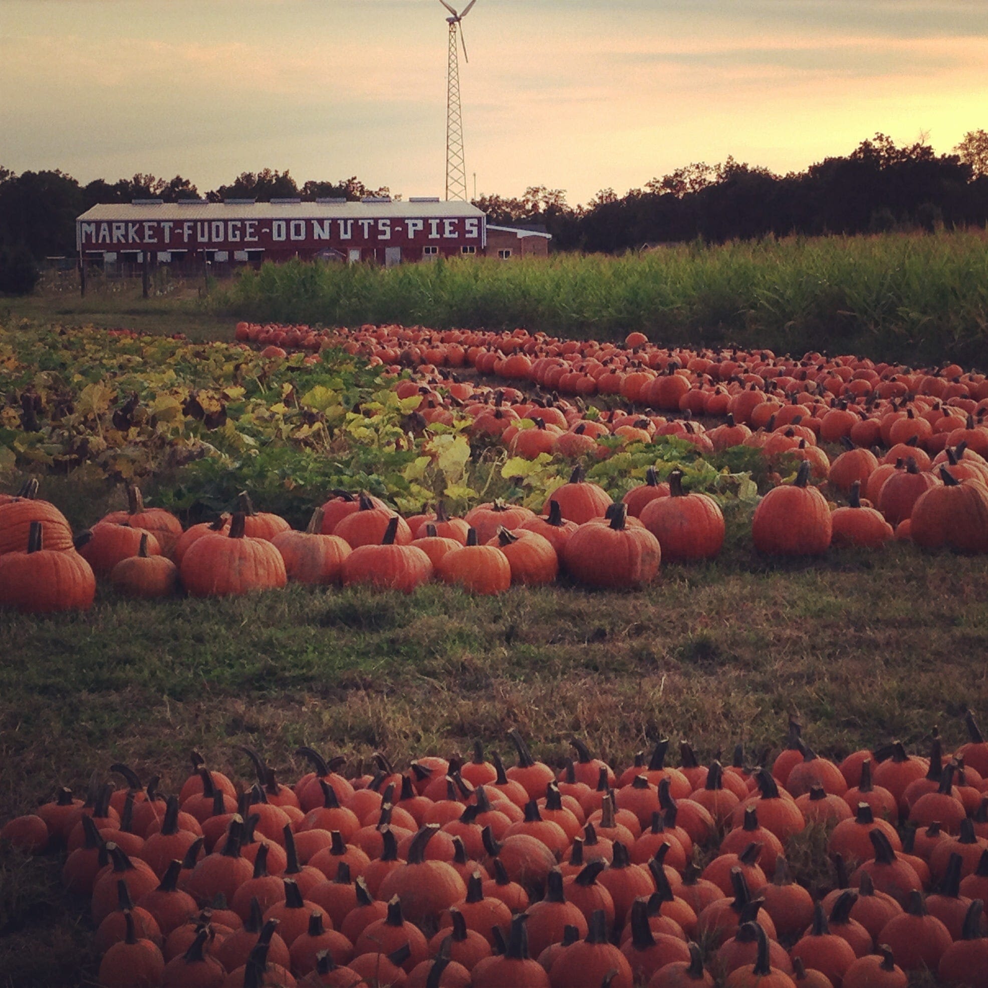 Fright Fest opens at Six Flags Great Adventure, and more things to do this weekend