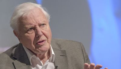 David Attenborough gives two-word warning as BBC star asks for life advice