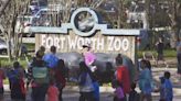 Fort Worth Zoo announces ‘monumental’ rare birth of critically endangered species
