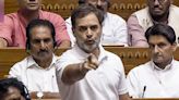 'Perfect public representative is one who is actually dead': Rahul Gandhi explains what it means to be LoP