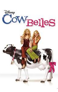 Cow Belles