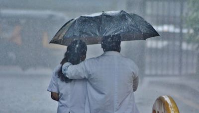 Mumbai Rains: Local train services affected on Central line; schools, colleges to remain closed on Thursday | Today News