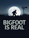 Bigfoot Is Real