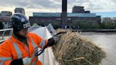 ‘Conspicuous’ bundle of straw dangled from Millennium Bridge per ancient byelaw