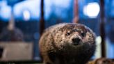 Groundhog Day 2024 marks 10 years since Bill de Blasio dropped Staten Island Chuck