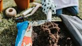 Gardener shares soil tip to use when starting a garden that'll eliminate weeds