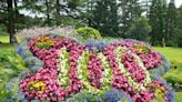 Town needs help to win Britain in Bloom