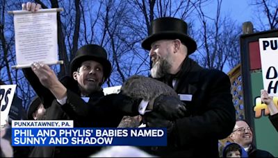 Punxsutawney Phil's babies are named Shadow and Sunny