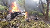 Video: Avioneta cae y se incendia en el Pacífico Sur | Teletica