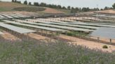 Ganaderos y agricultores se quejan de que la instalación de placas solares les expulsa de tierras productivas